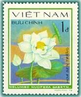 (1980-012a) Марка Вьетнам "Лотос орехоносный"  Без перфорации  Водяные цветы III Θ