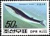 (1992-100) Марка Северная Корея "Финвал"   Киты III Θ