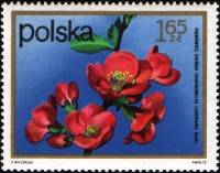 (1972-076) Марка Польша "Айва"    Кустарниковые Цветы II Θ
