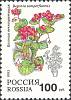 (1993-018) Марка Россия "Бегония вечноцветущая"   Комнатные растения III O