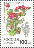 (1993-018) Марка Россия "Бегония вечноцветущая"   Комнатные растения III O