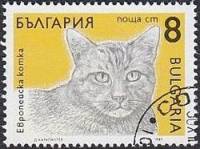 (1989-118) Марка Болгария "Европейская кошка (2)"   Кошки III Θ