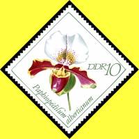 (1968-089) Марка Германия (ГДР) "Пафиопедилум"    Орхидеи II O