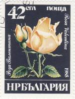 (1985-058) Марка Болгария "Роза Валентина"   Розы III O