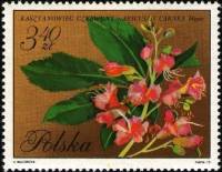 (1971-090) Марка Польша "Каштан"    Цветение II Θ