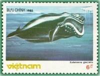 (1985-089) Марка Вьетнам "Южный кит"    Морские животные III Θ