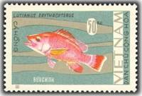(1967-025) Марка Вьетнам "Красноперый луциан"   Рыбы II Θ