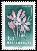 (1958-053) Марка Венгрия "Безвременник"    Цветы II Θ
