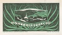 (№1920) Банкнота Австрия 1920 год "10 Heller"