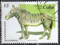 (№3853) Марка Куба 1995 год "Grevy039s grevyi Зебра Эквус", Негашеная