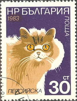 (1983-061) Марка Болгария &quot;Персидская кошка&quot;   Кошки II Θ