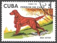 (1976-012) Марка Куба "Ирландский сеттер"    Охотничья собака III Θ