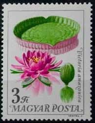 (1965-084) Марка Венгрия &quot;Виктория амазонская&quot; ,  III O