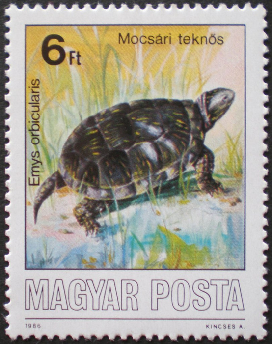(1986-063) Марка Венгрия &quot;Европейская болотная черепаха&quot;    Охраняемые животные II Θ