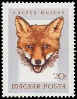 (1966-84) Марка Венгрия "Обыкновенная лисица"    Охота III Θ