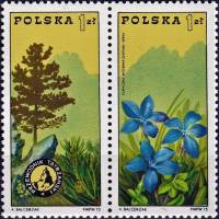 (1975-018-019) Сцепка (2 м + куп) Польша "Сосна, Татры"    100-летие Организации горных гидов: туриз