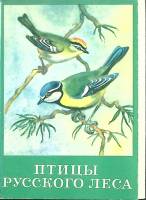 Набор открыток "Птицы русского леса" 1979 Полный комплект 16 шт Москва   с. 