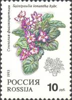 1993-014 Марка Россия Сенполия фиалкоцветная  Комнатные растения III O