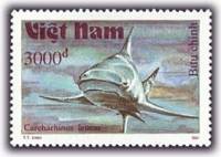 (1991-041) Марка Вьетнам "Тупорылая акула"    Акулы III Θ