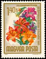 (1965-028) Марка Венгрия "Лилия "    20-я годовщина освобождения. Букеты цветов III Θ