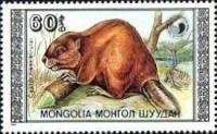 (1989-002) Марка Монголия "Бобр"    Бобры III Θ