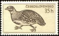 (1955-038) Марка Чехословакия "Куропатка серая"    Фауна III Θ