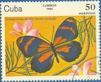 (1984-012) Марка Куба "Катаграмма сорана"    Бабочки III Θ