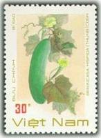 (1988-094) Марка Вьетнам "Восковая тыква"    Овощи III O