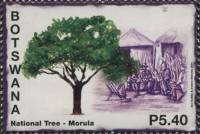 (№2014-1003) Марка Ботсвана 2014 год "Национальная Флора Символы Морулы", Гашеная
