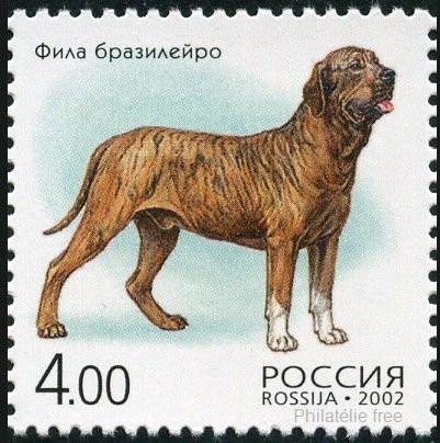 2002-024 Марка Россия Фила бразилейро  Фауна. Собаки III O