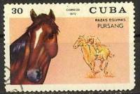 (1972-046) Марка Куба "Пурсанг"    Лошади III O