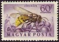 (1954-007) Марка Венгрия "Шершень обыкновенный"    Насекомые III Θ