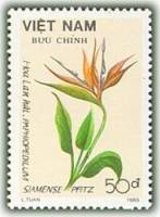 (1989-101) Марка Вьетнам "Стрелиция королевская"    Цветы III Θ