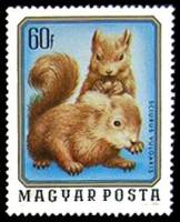 (1976-003) Марка Венгрия "Бельчата"    Молодые дикие животные II Θ