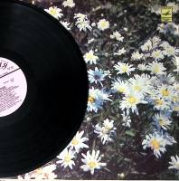 Пластинка виниловая Нани Брегвадзе Отрада Мелодия 300 мм. Excellent