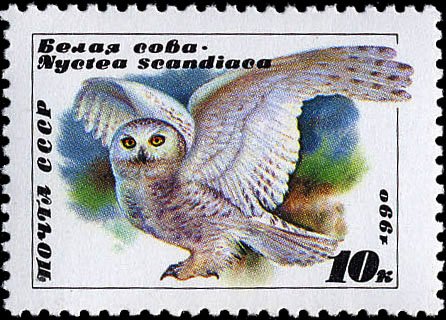 (1990-021) Марка СССР &quot;Белая сова&quot;   Совы II Θ