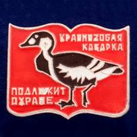 26808\120455 Значок "Казарка"
