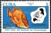 (1990-038) Марка Куба "Рыба-свинья"    25 лет института океанологии III Θ