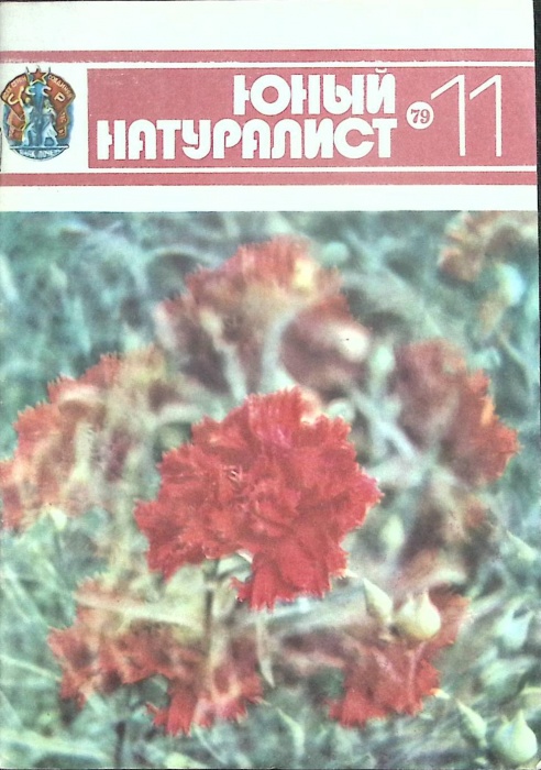 Журнал &quot;Юный натуралист&quot; № 11 Москва 1980 Мягкая обл. 48 с. С цв илл