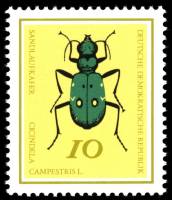 (1968-079) Марка Германия (ГДР) "Скакун полевой"    Насекомые II Θ