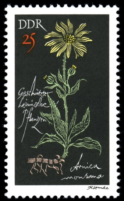 (1966-096) Марка Германия (ГДР) &quot;Арника горная&quot;    Растения под защитой II Θ