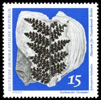 (1973-009) Марка Германия (ГДР) "Папоротник Сфеноптерис"    Музей истории III Θ