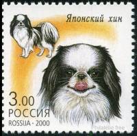 2000-064 Марка Россия Японский хин  Декоративные собаки III O
