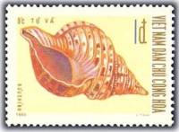 (1970-020) Марка Вьетнам "Рог тритона"   Морские раковины III Θ