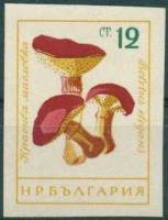 (1961-081) Марка Болгария "Маслёнок"   Грибы (2) III O