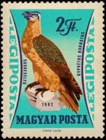 (1962-075) Марка Венгрия "Бородач"    Хищные птицы II O