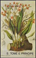 (№1989-191) Блок марок Сан-Томе и Принсипи 1989 год "Maxillaria eburnea", Гашеный