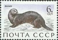 1971-074 Марка СССР Калан   Млекопитающие - обитатели морей и океанов III Θ