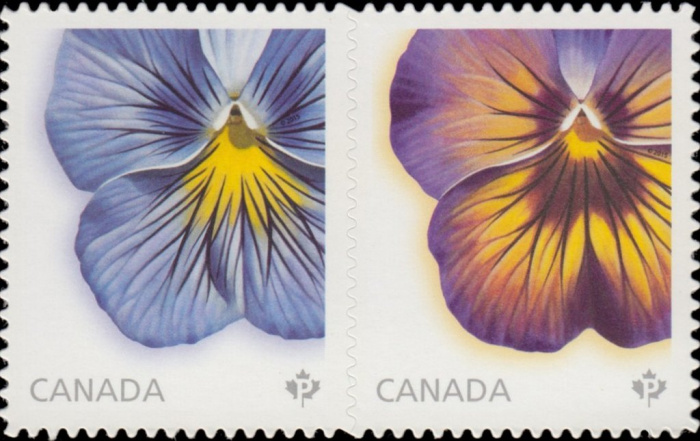 (№2015-3226) Лист марок Канада 2015 год &quot;Дельта премиум ampamp Midnigth свечение анютины глазки&quot;, Га