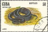 (1982-055) Марка Куба "Кубинский гонщик"    Рептилии III Θ